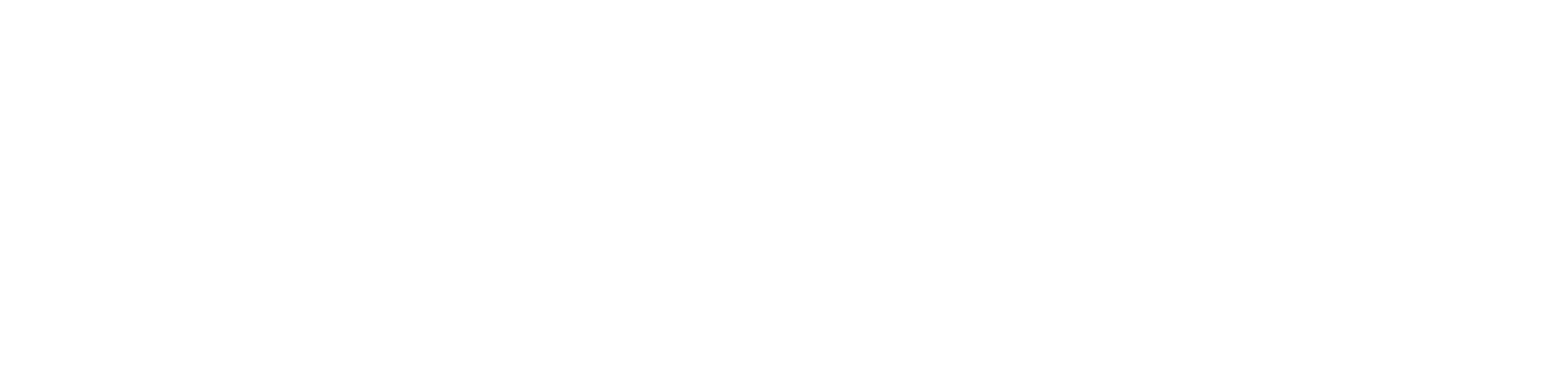 Rider Guide Logo